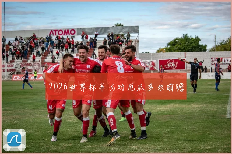 2026世界杯辛戈对厄瓜多尔前瞻