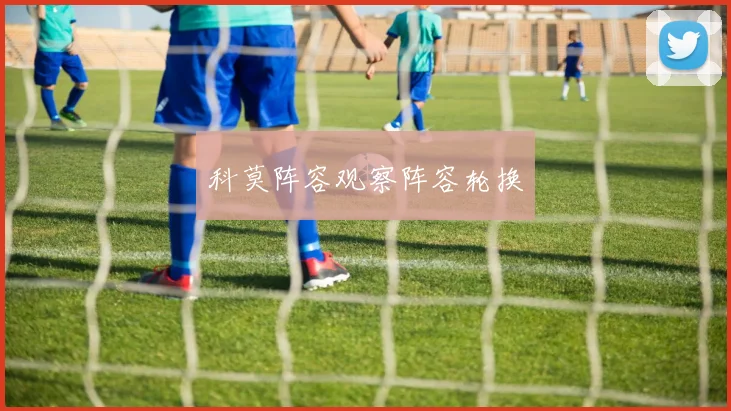 科莫阵容观察阵容轮换