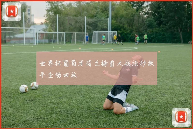 世界杯葡萄牙荷兰榜首大战读秒扳平全场回放